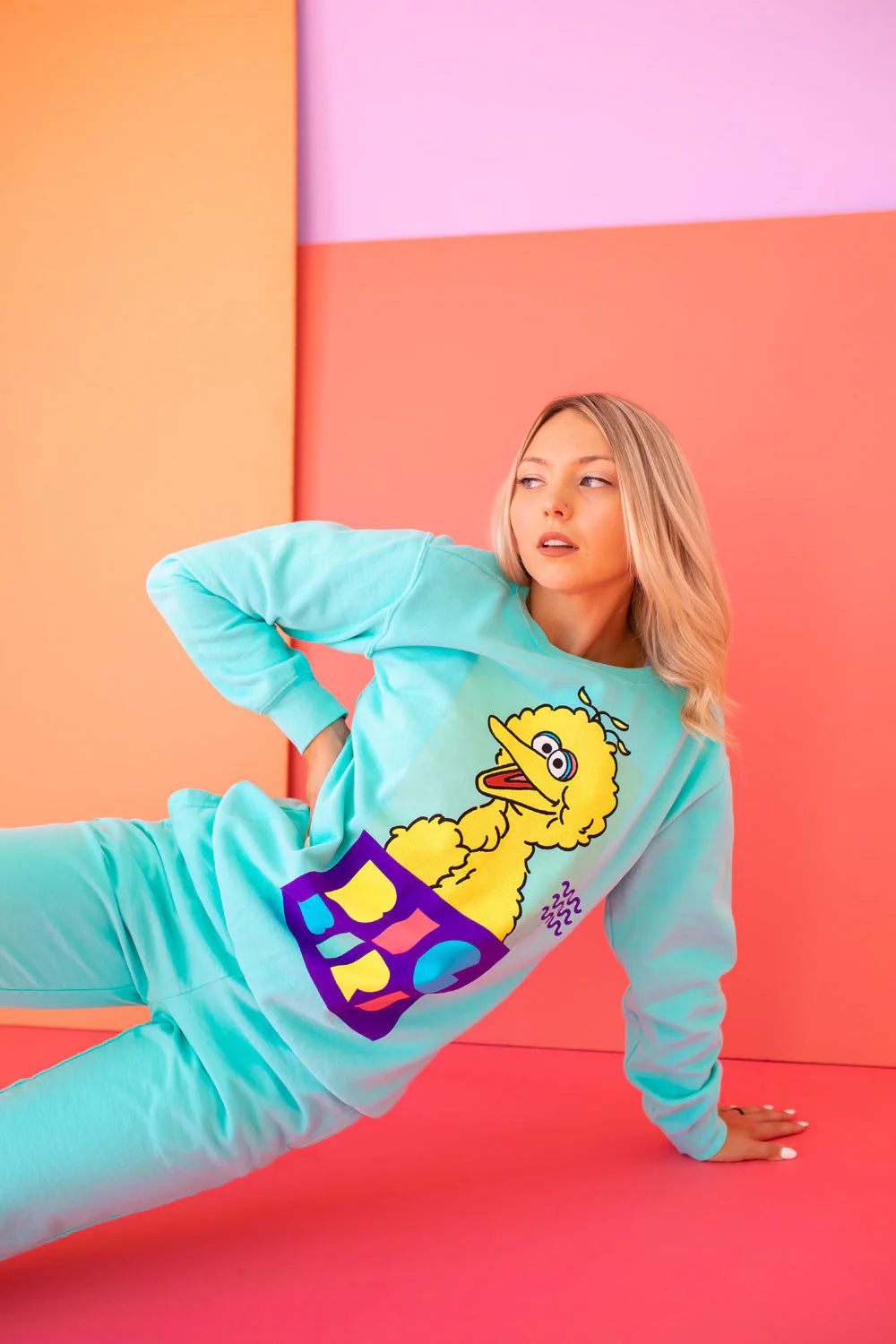 Sesame Street Big Bird Sweatshirt - Image 9