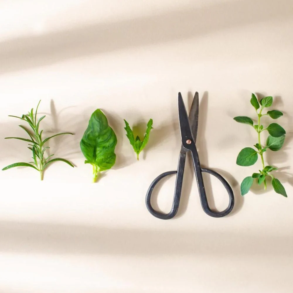 Small Handmade Vintage Craft Scissors - Image 4