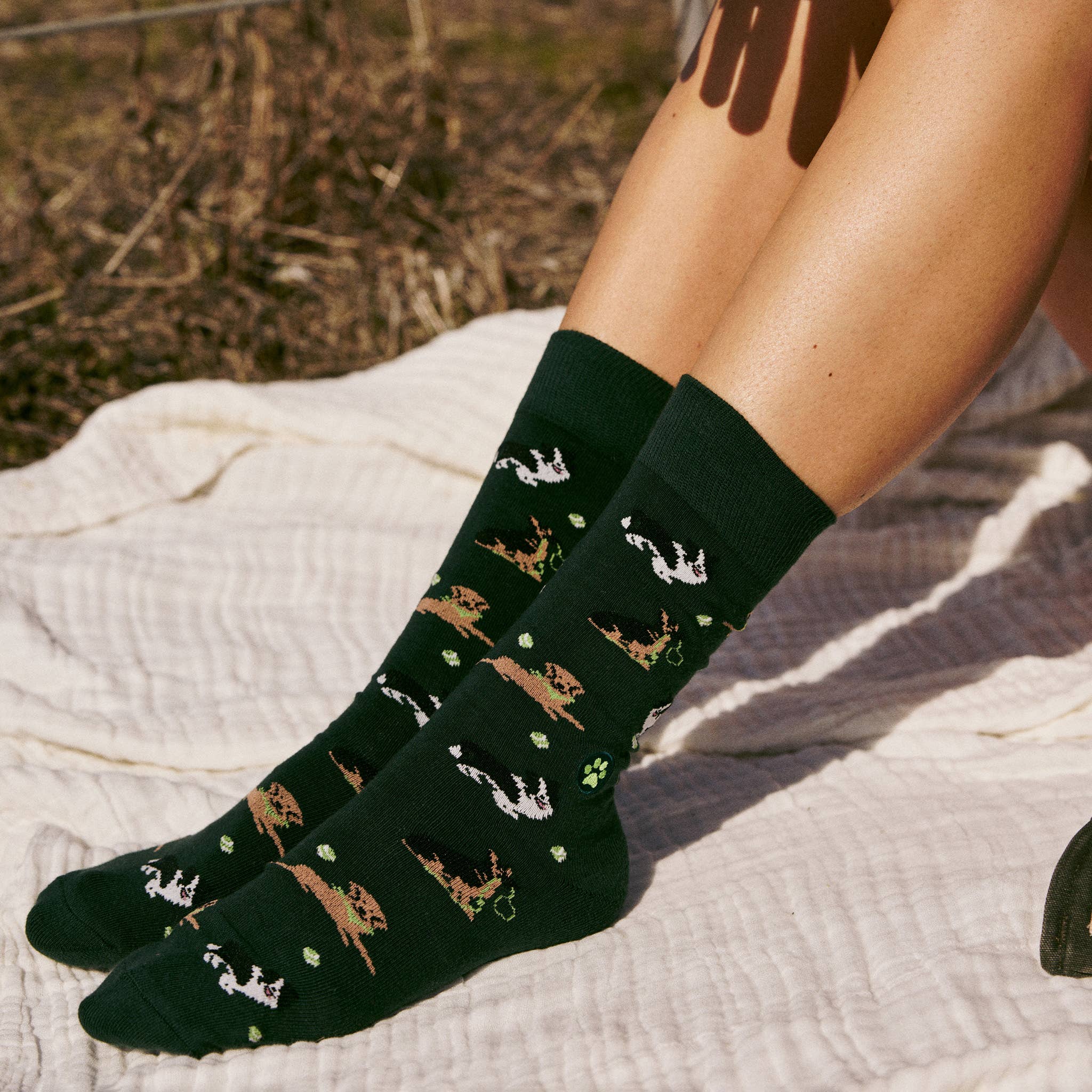 Socks that Save Dogs (Go Fetch) - Image 6