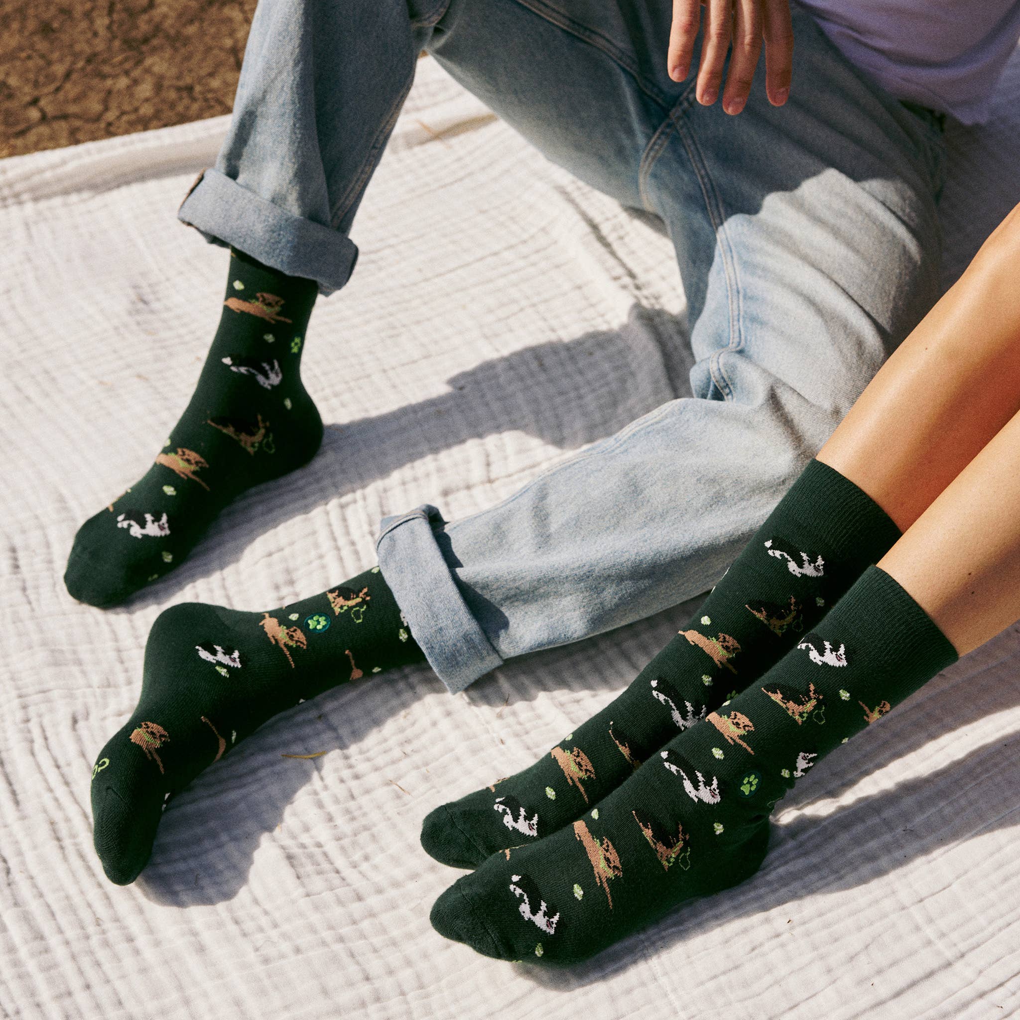 Socks that Save Dogs (Go Fetch) - Image 8