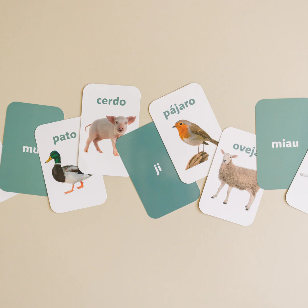 Spanish Flashcards - Image 5