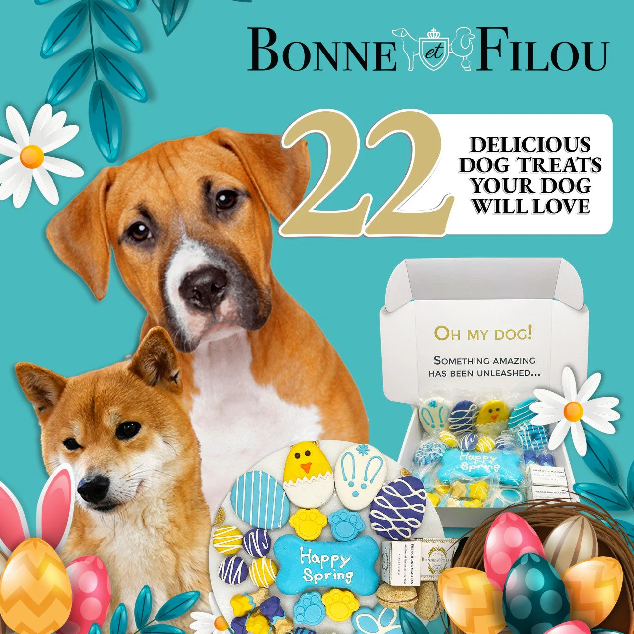 Spring Themed Dog Treats - Image 5