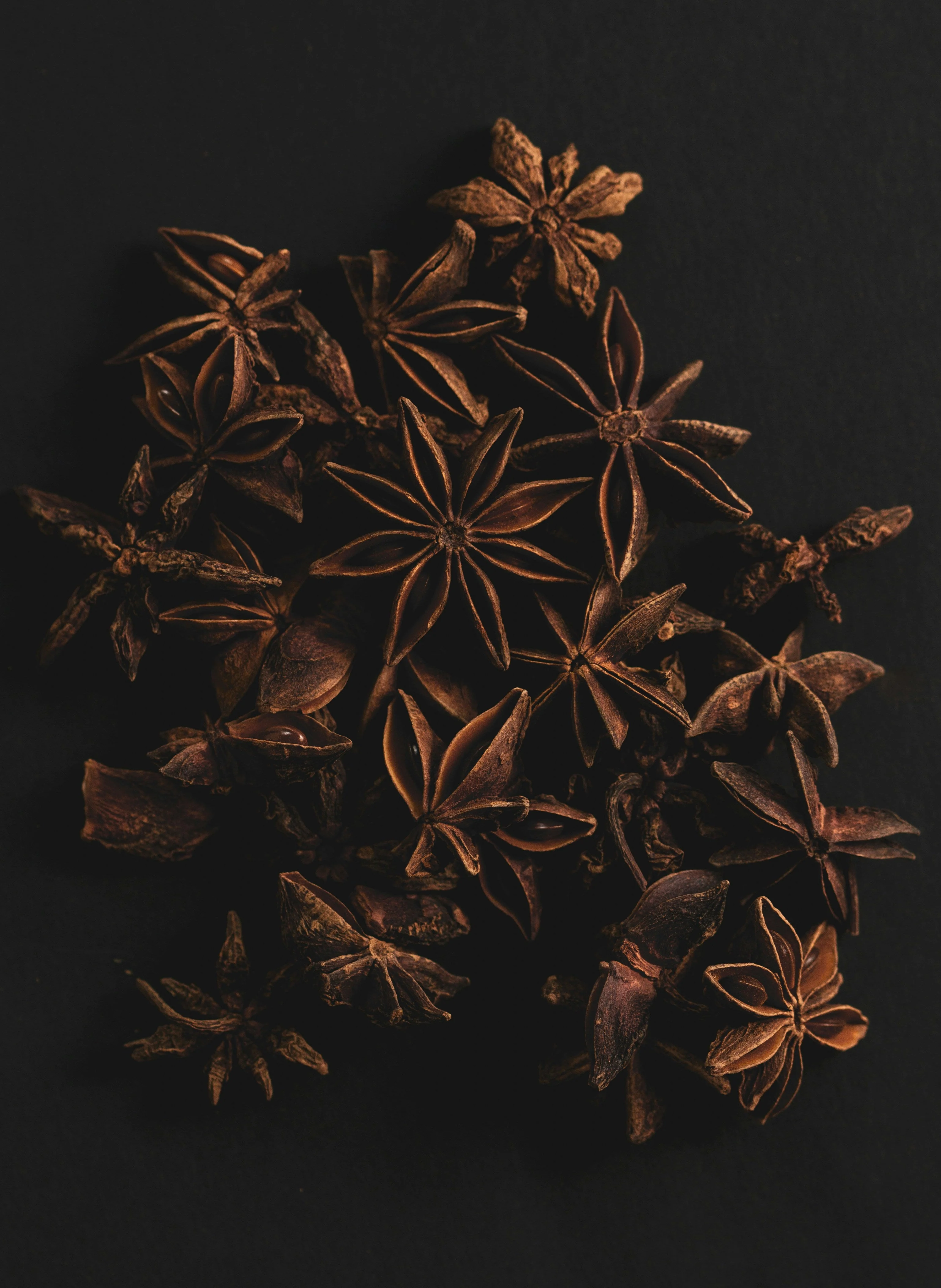 Star Anise 0.5 Oz (14.5 grams) - Image 3