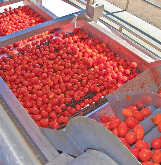Sun-Dried Tomato Ultra Finely Diced Granulated - Image 5