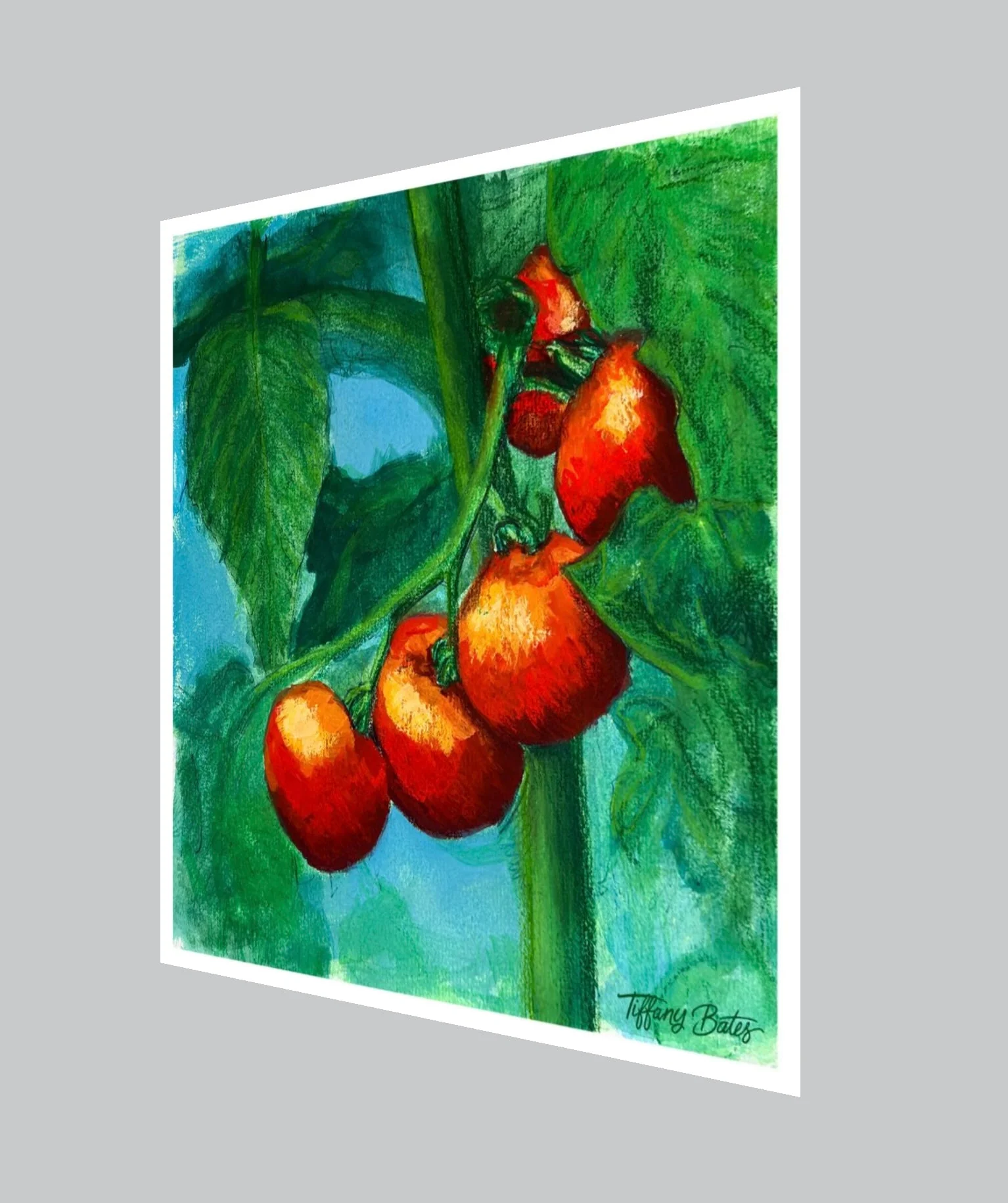 Sun-Kissed Tomatoes - Fine Art Print - 8” x 8” - Image 2