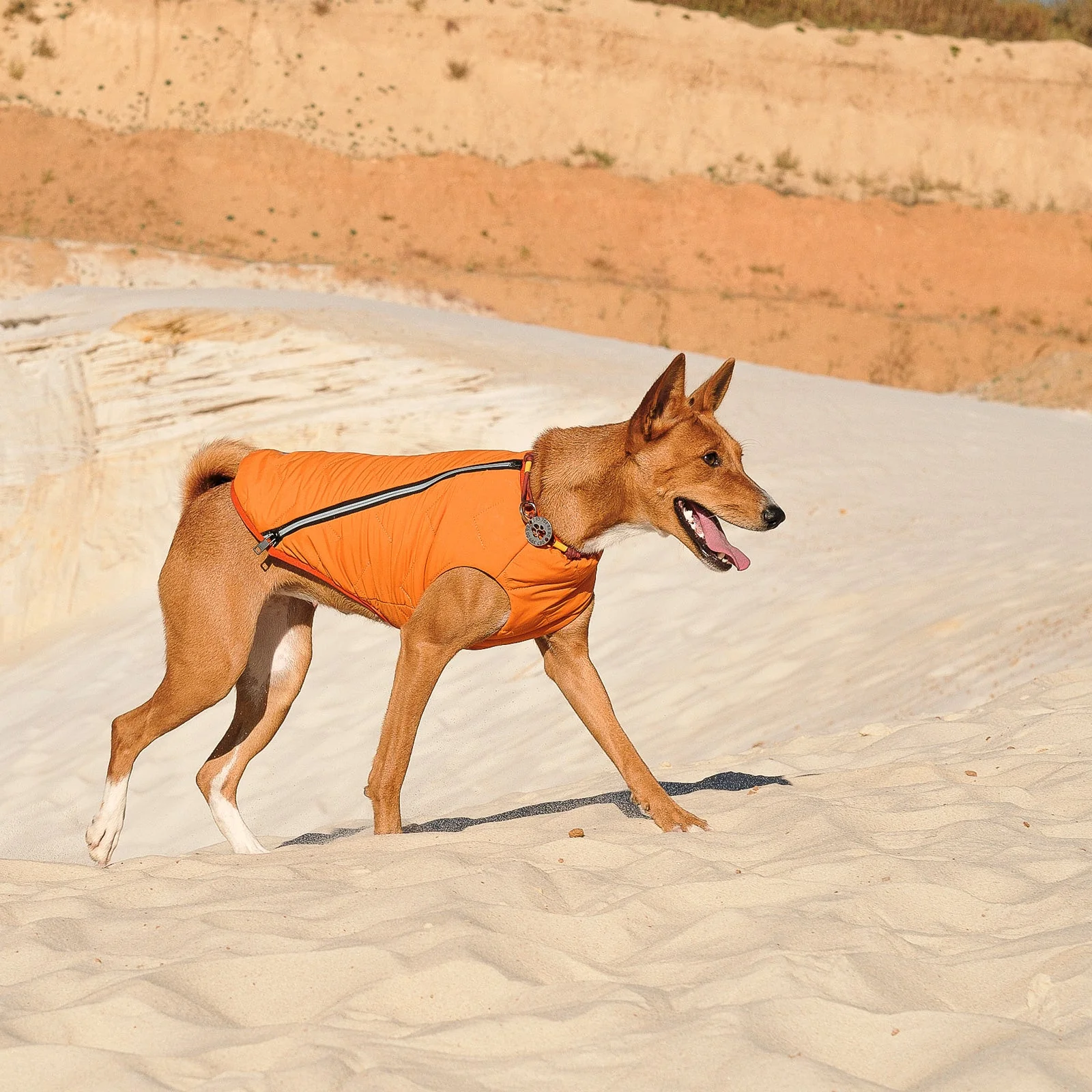 Sustainable Eco-Friendly Dog Jacket / Vest - Made in Ukraine - Image 12