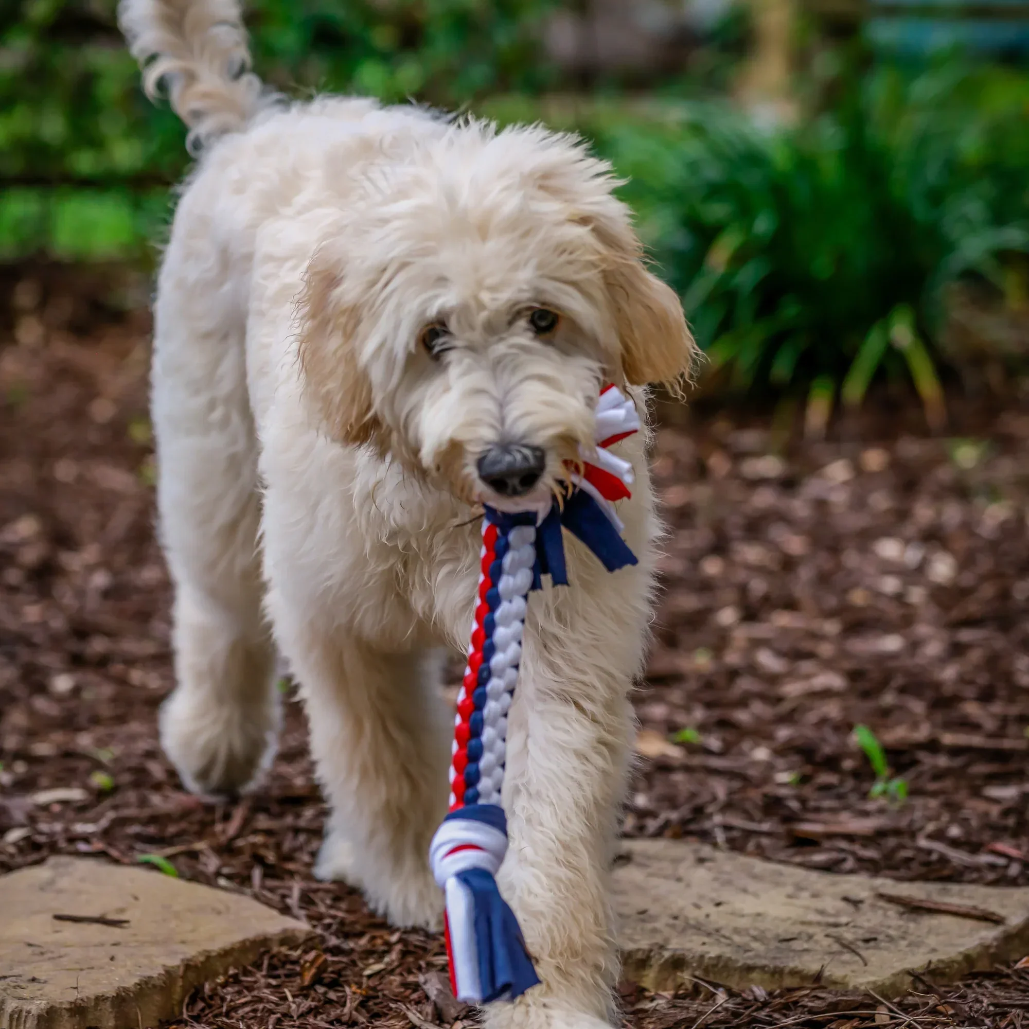 Tee-Bone Dog Toy - Image 4