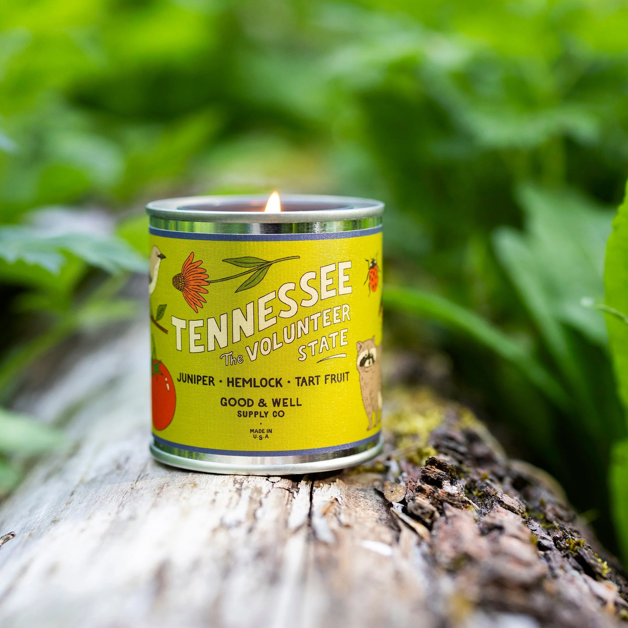 Tennessee State Candle - Image 3