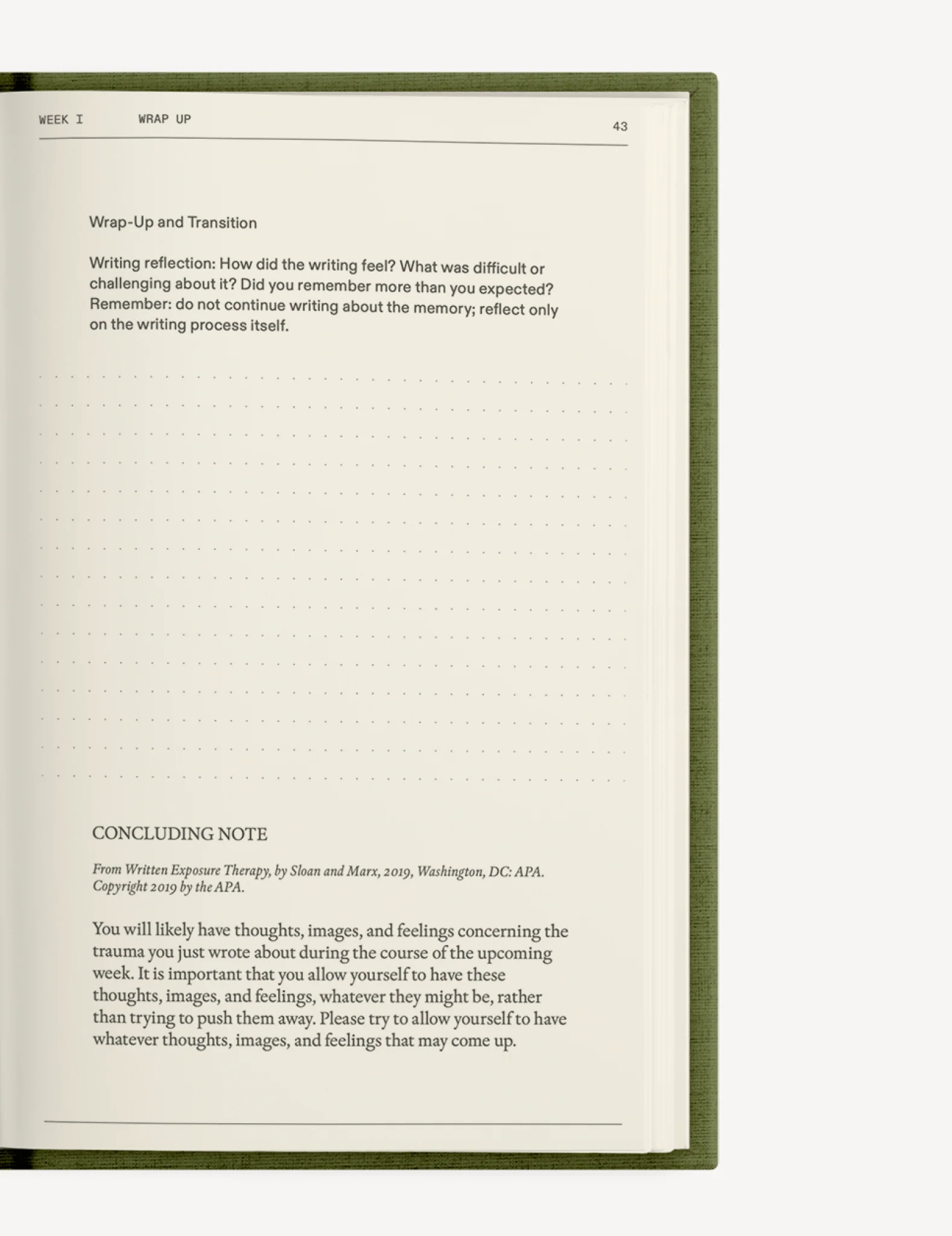 The After-Trauma Notebook - Image 10