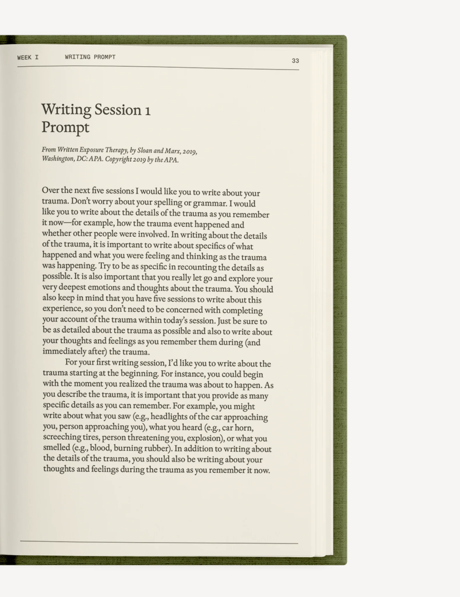 The After-Trauma Notebook - Image 8