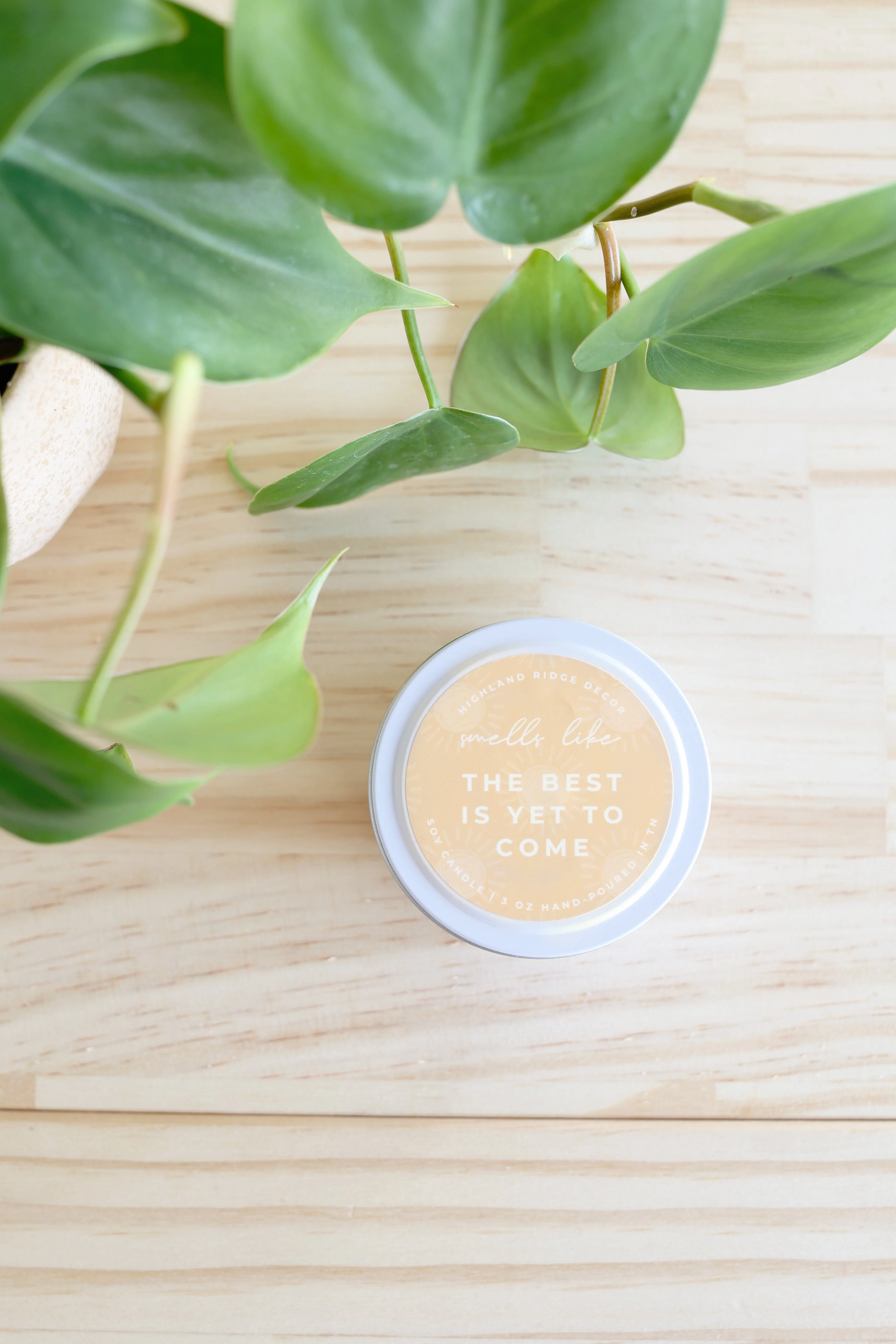 The Best is Yet to Come Candle | Citrus Agave - Image 5