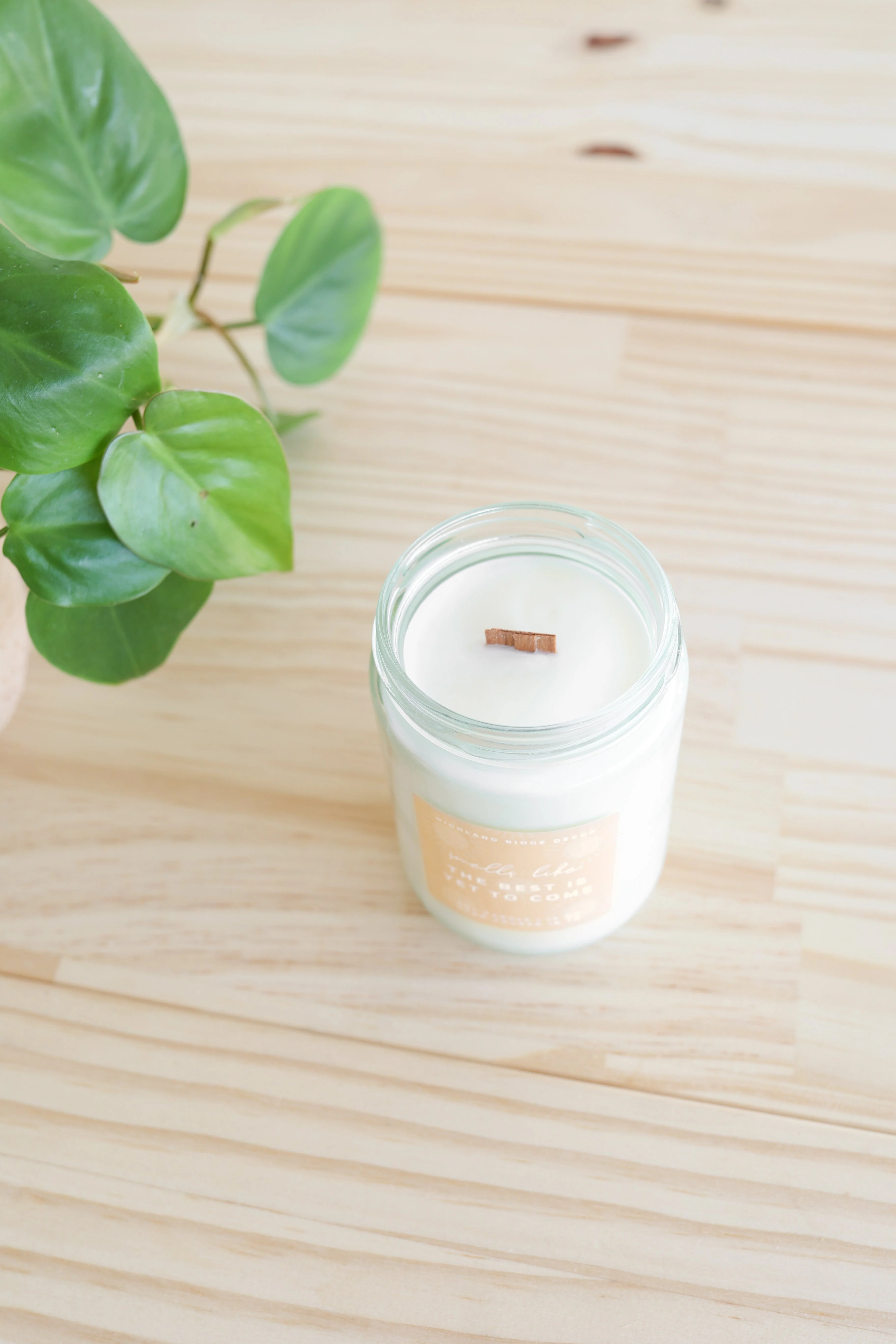 The Best is Yet to Come Candle | Citrus Agave - Image 7