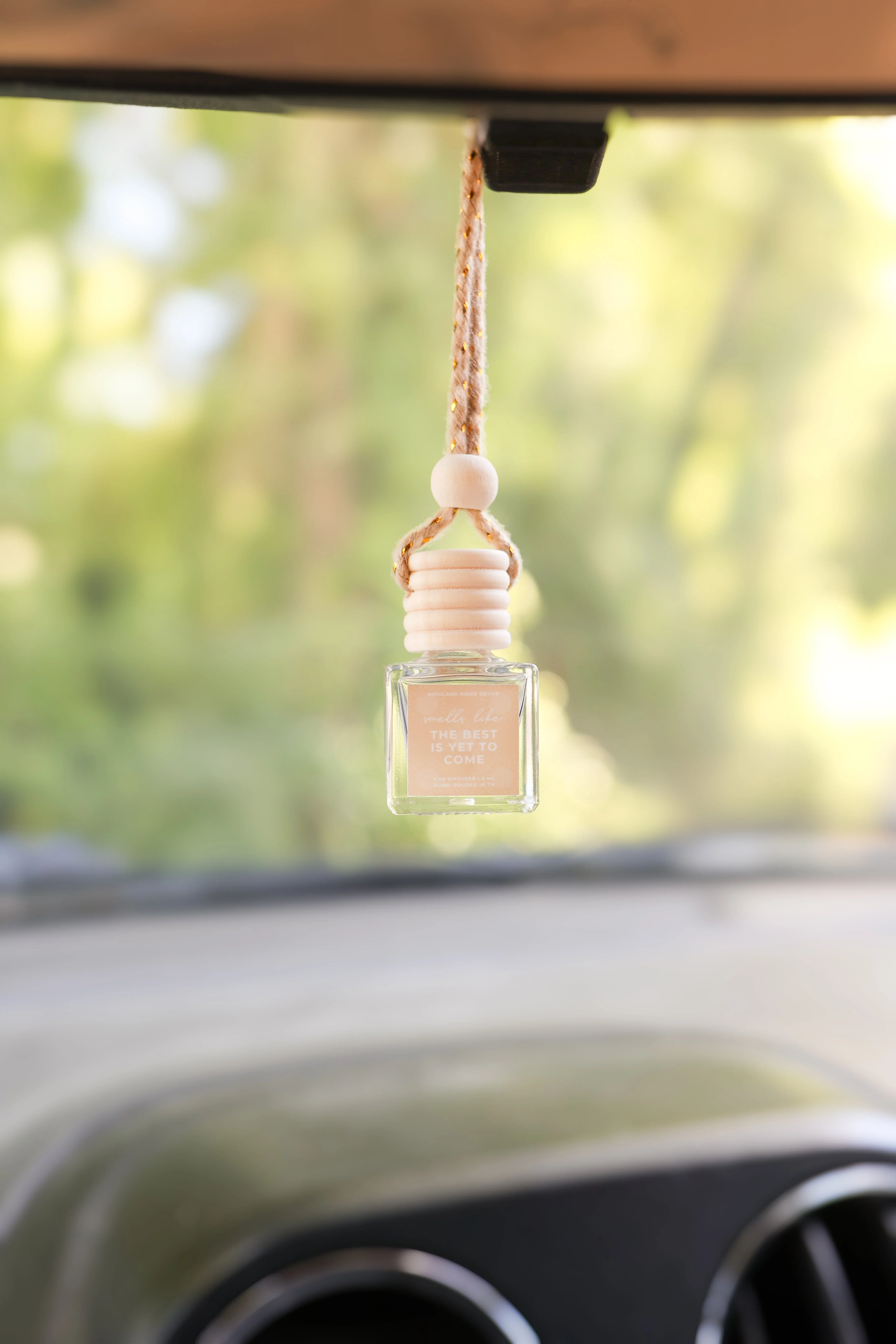 The Best is Yet to Come Car Diffuser - Image 2