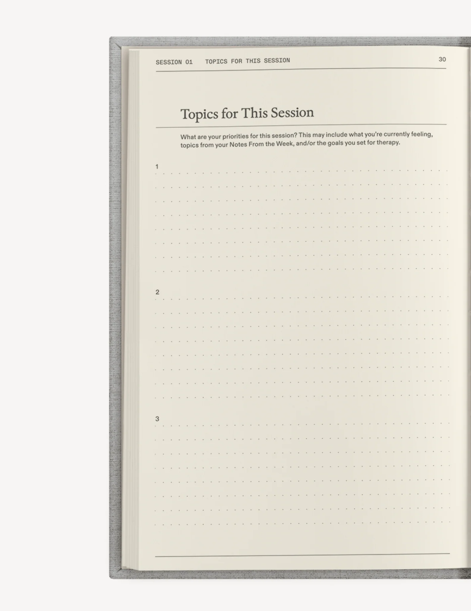 The Therapy Companion Set - Image 12