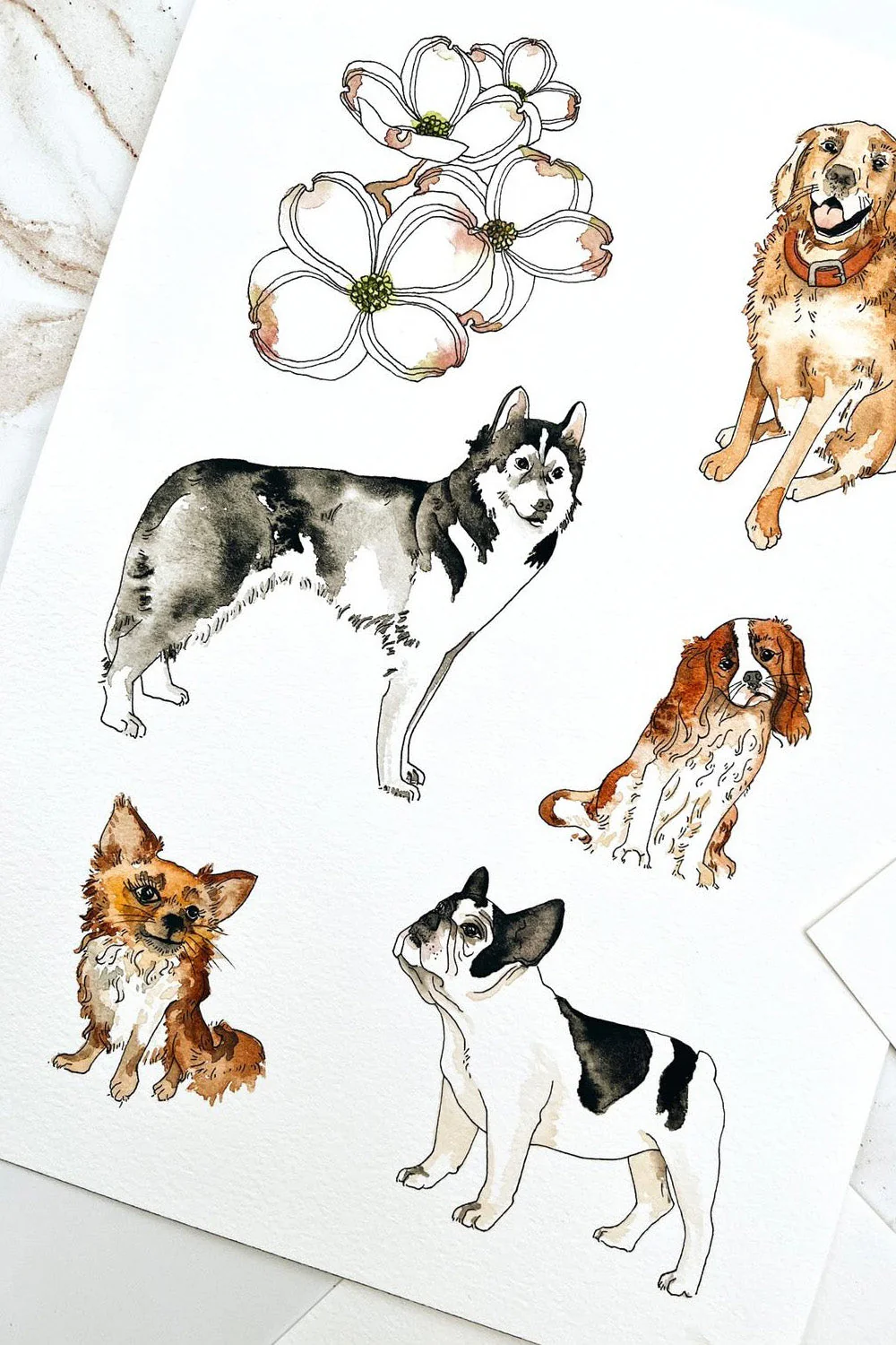 TheMintGardener Dog Leisure Set - Image 14