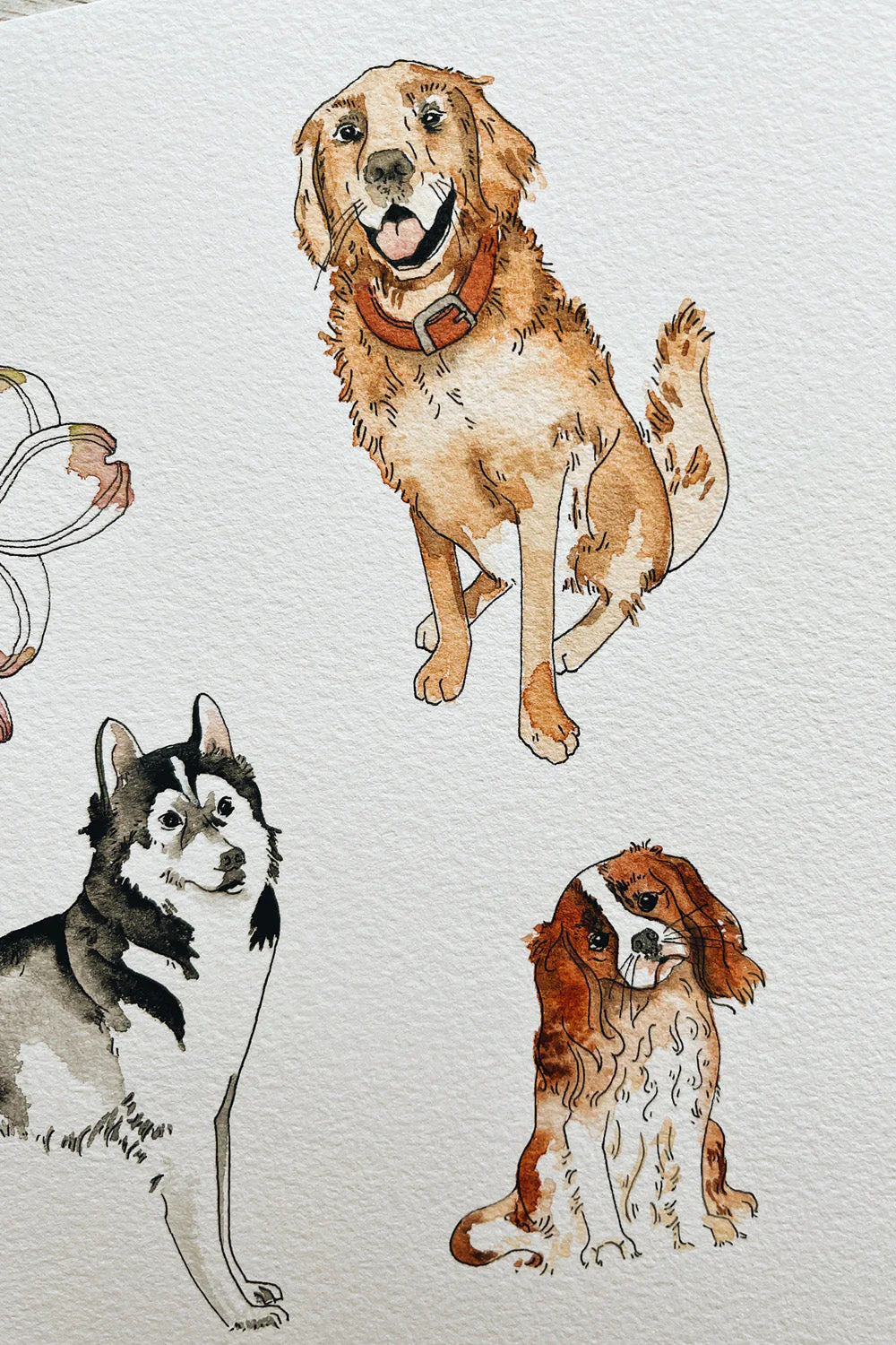 TheMintGardener Dog Leisure Set - Image 18