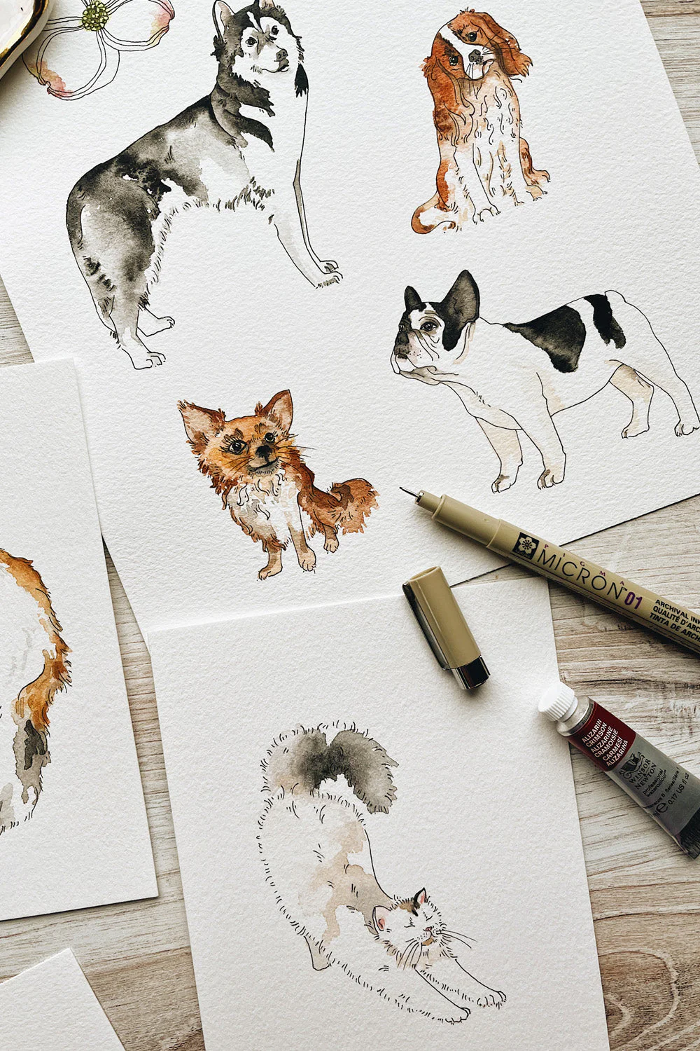 TheMintGardener Dog Leisure Set - Image 19