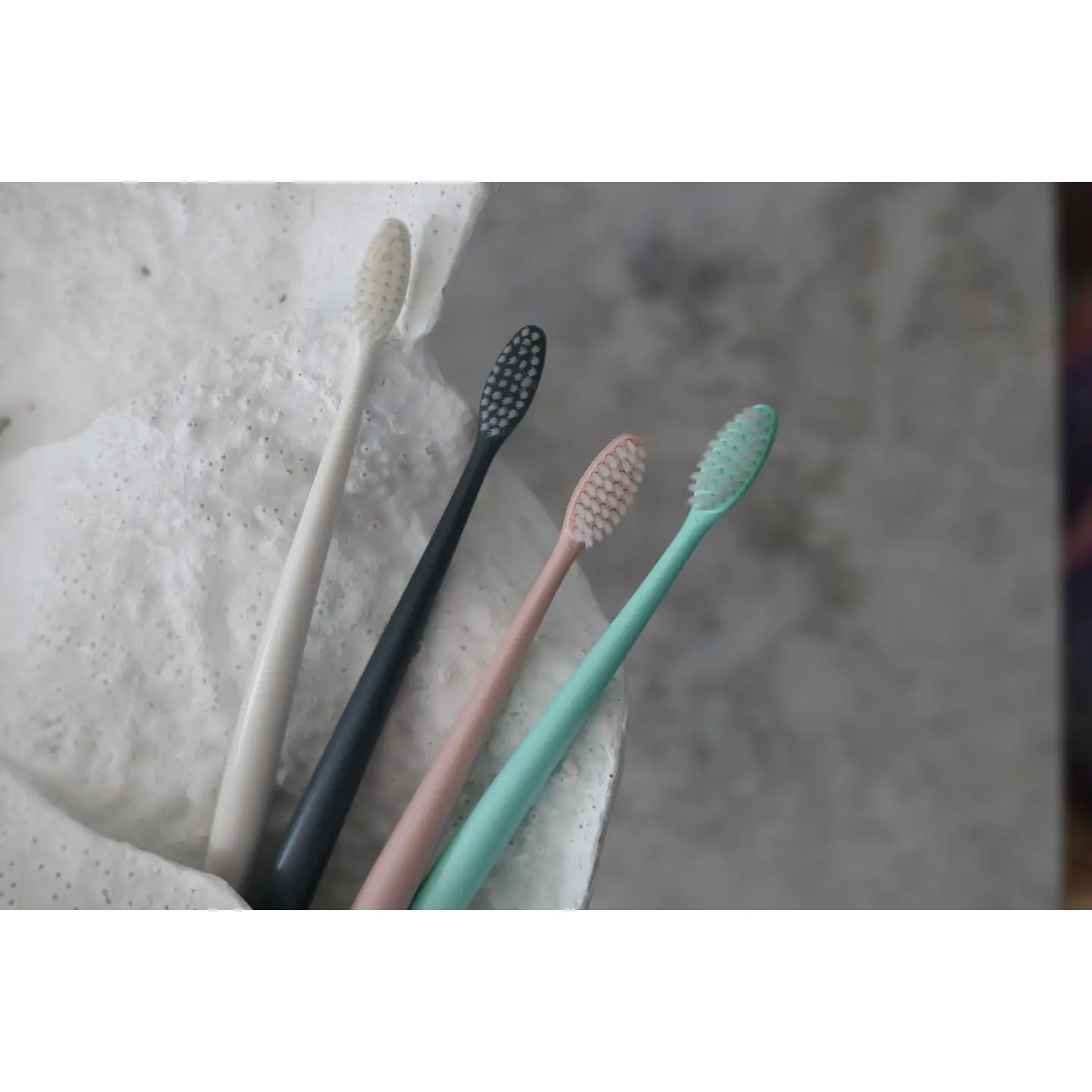 Toothbrush and Stand - Plastic Free and Biodegradable - Image 5