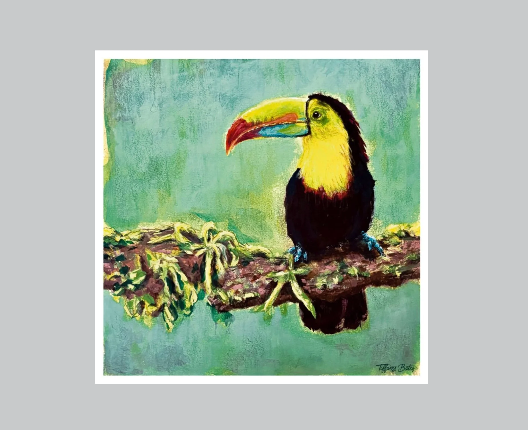 Toucanâs Perch - Fine Art Print - 8â x 8â
