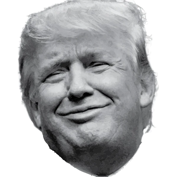 Trump & Pals Voodoo Doll - Image 4