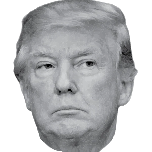 Trump & Pals Voodoo Doll - Image 5