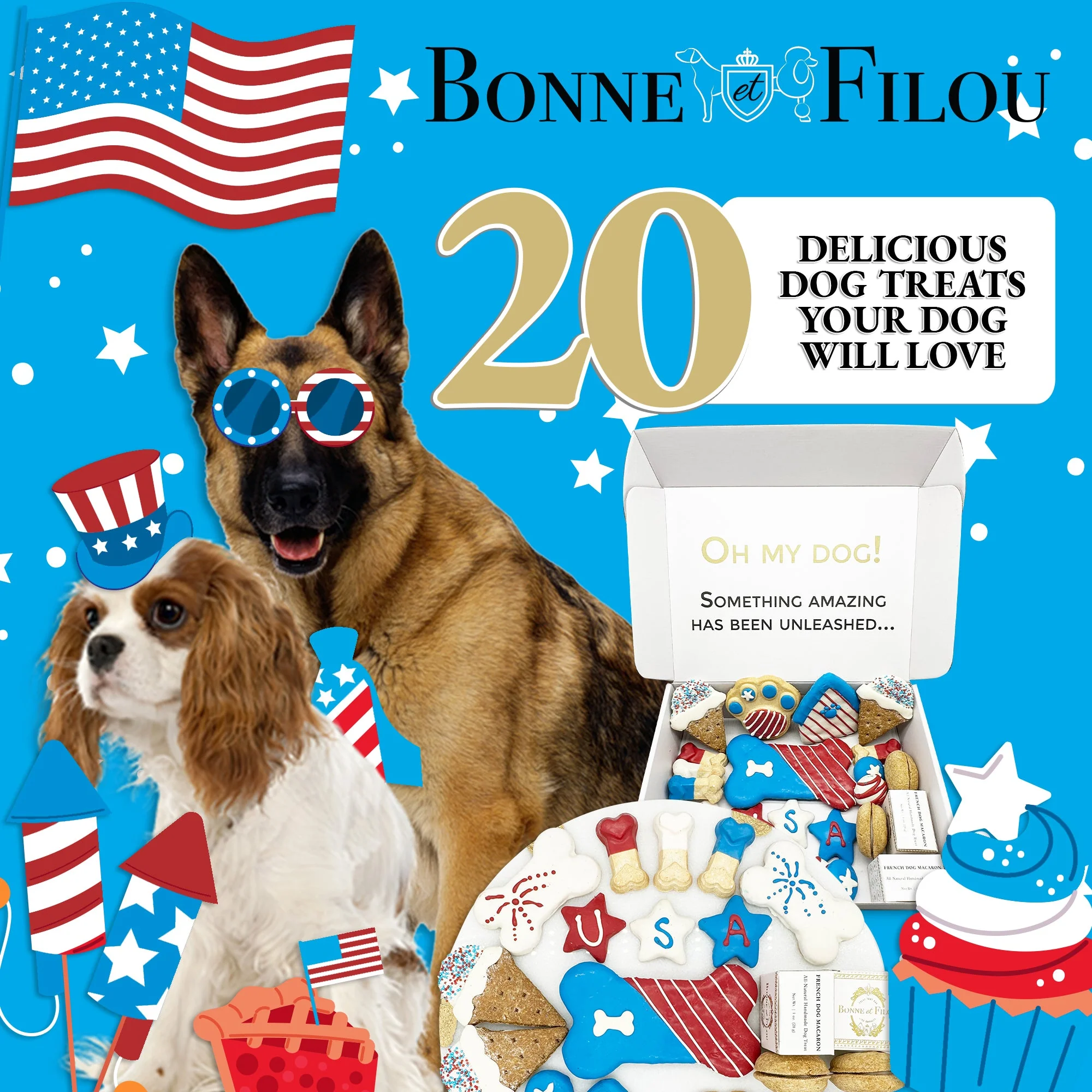 USA Themed Dog Treats Gift Box - Image 6