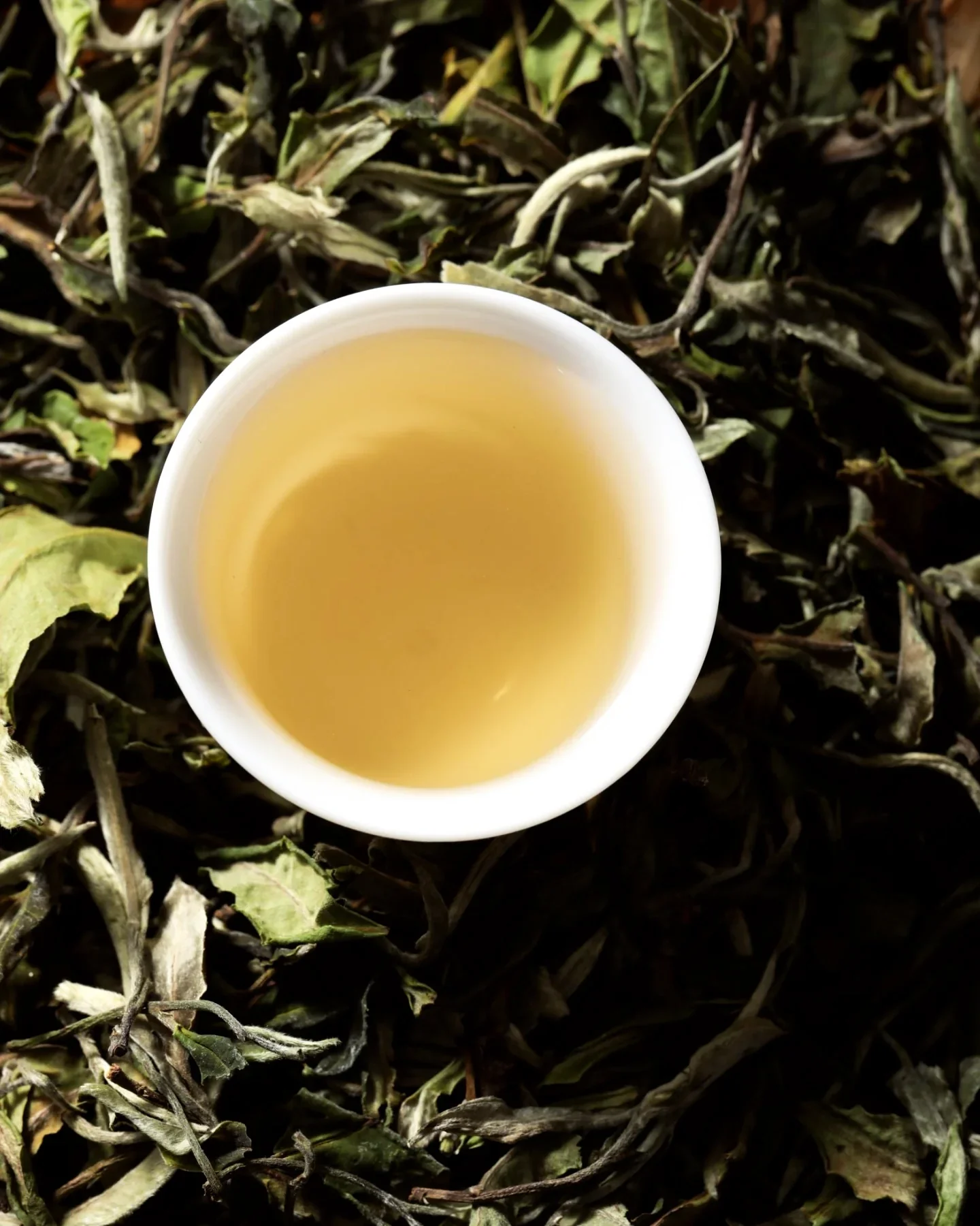 White Peony - Bai Mu Dan - Image 4