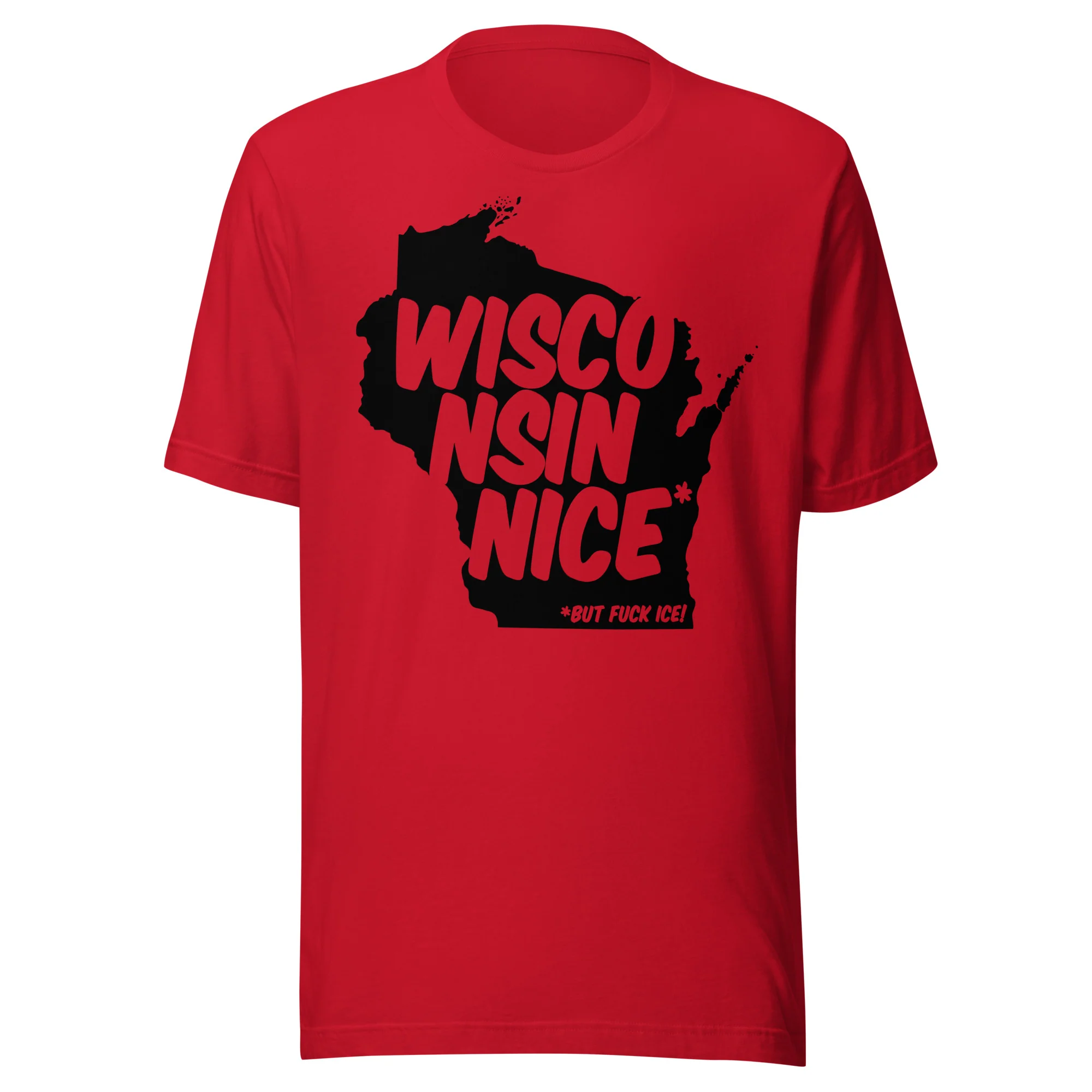Wisconsin Nice* T-Shirt - Image 4