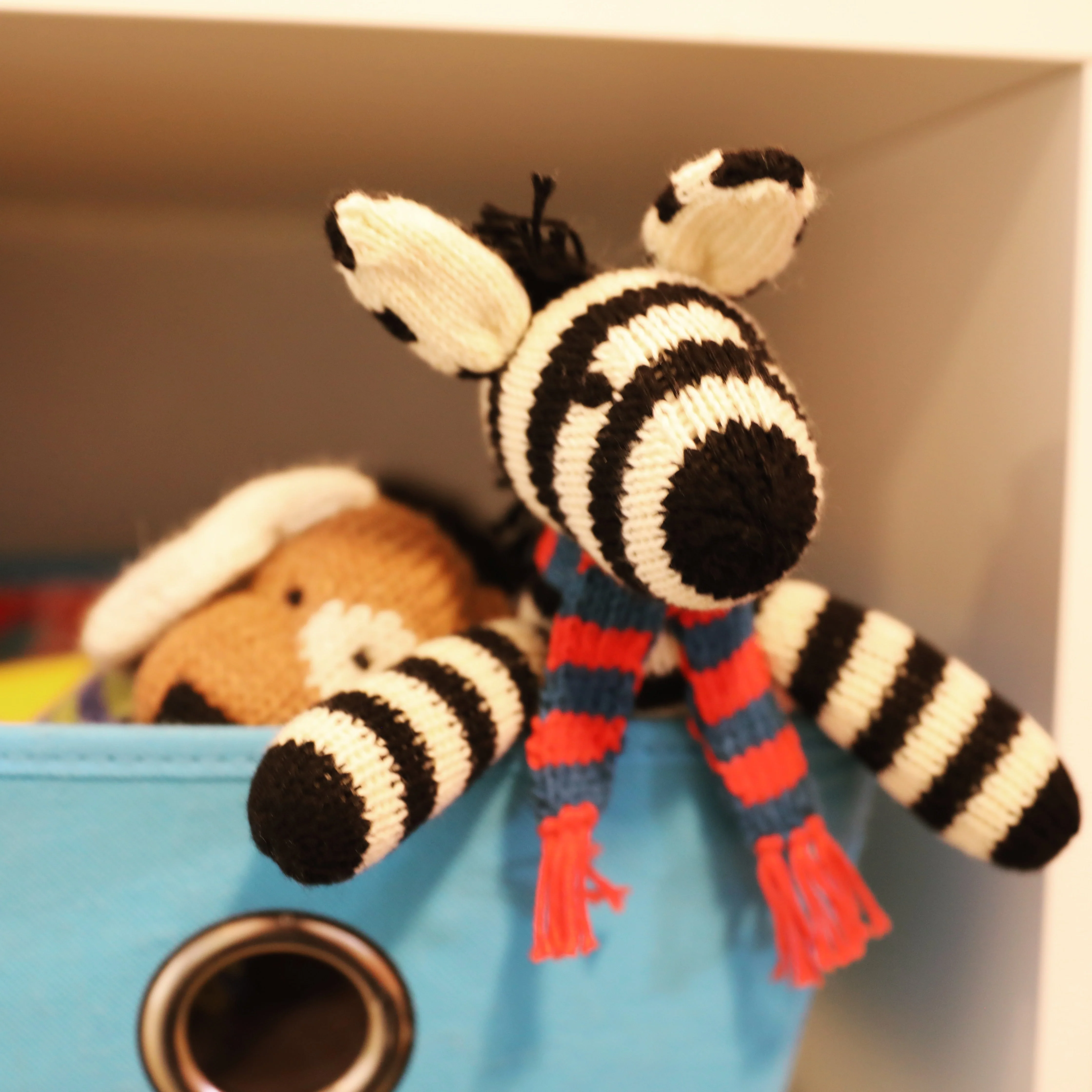Zebra - Image 2